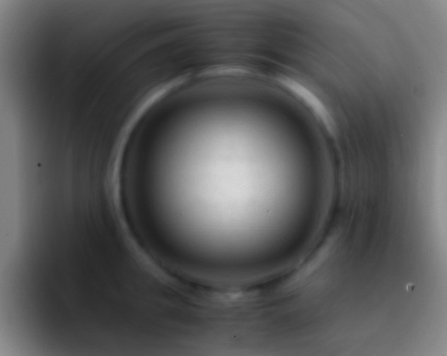 X0000092310949200709211247