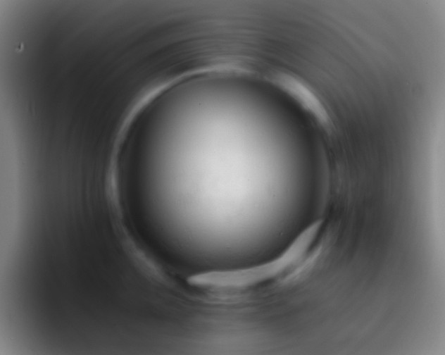 X0000092310952200709211247