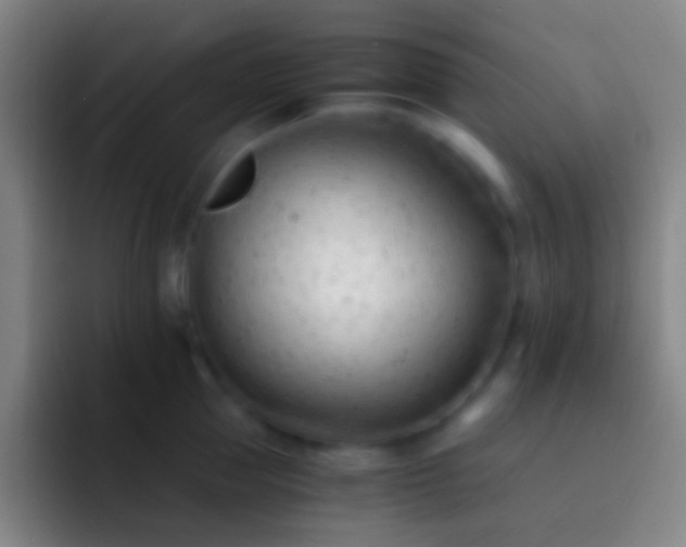 X0000092310953200709211247