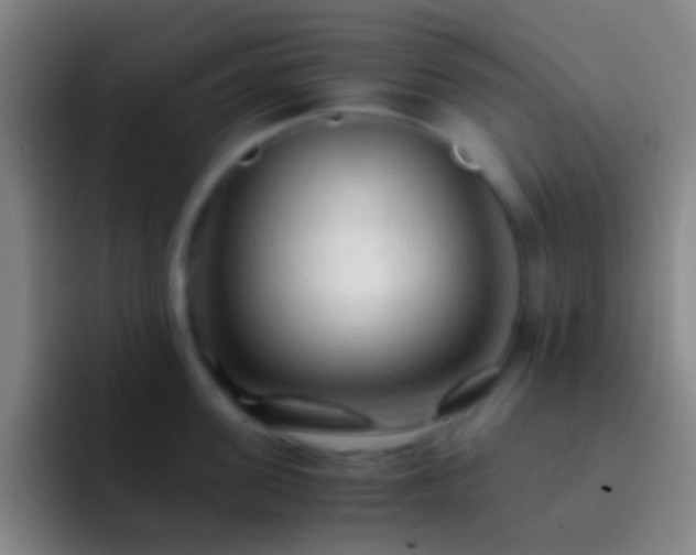 X0000092310955200709211247