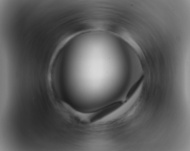 X0000092310956200709211247