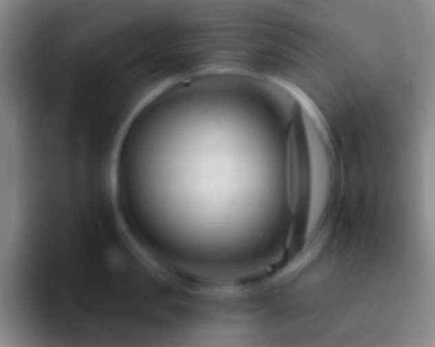 X0000092310957200709211247