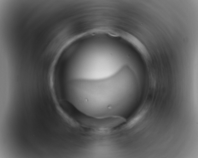 X0000092310958200709211247