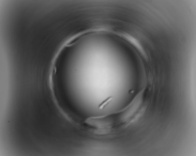X0000092310959200709211247