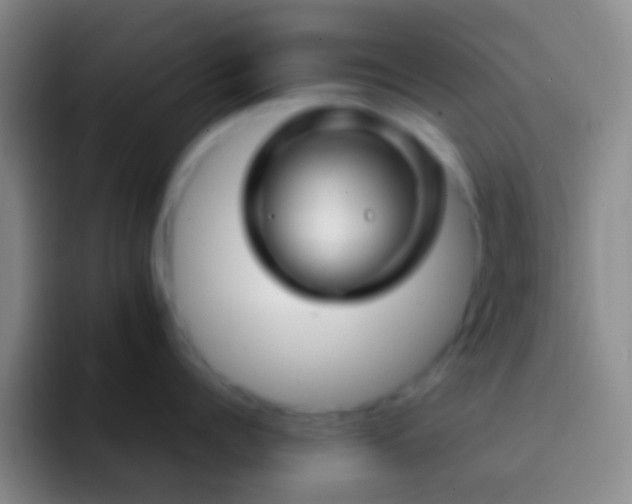 X0000092310960200709211247