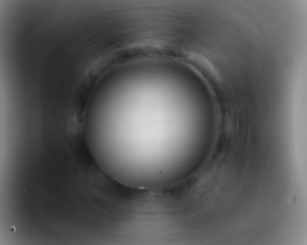 X0000092310966200709211246