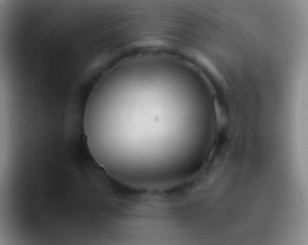 X0000092310967200709211246