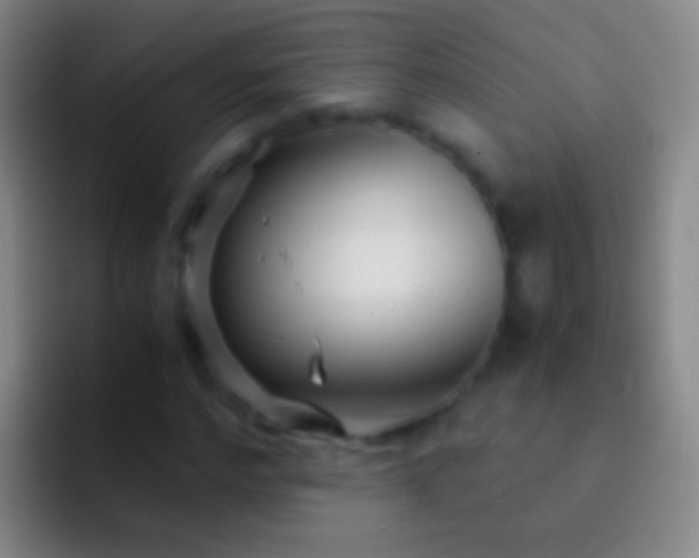 X0000092310968200709211246