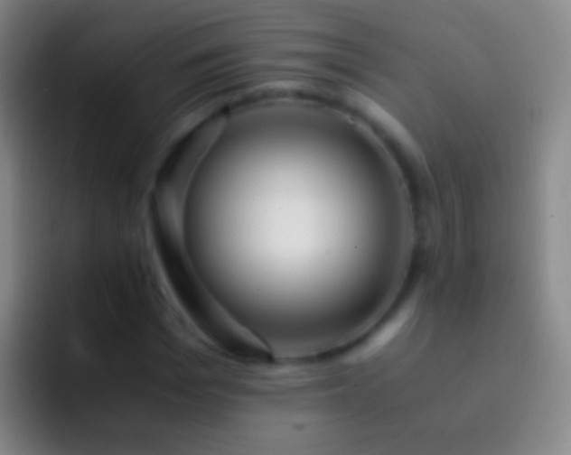 X0000092310969200709211246