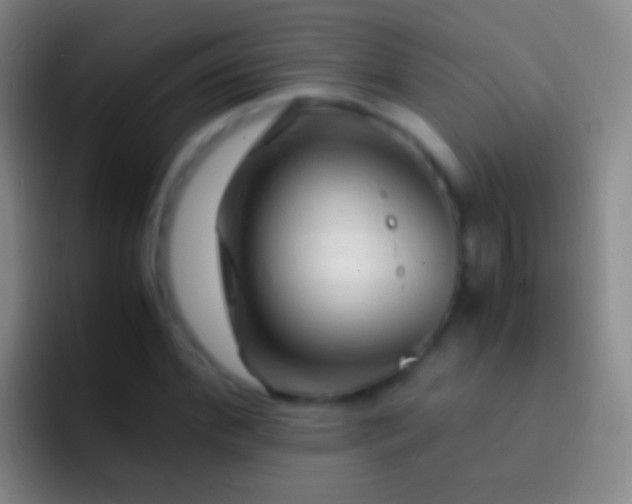 X0000092310972200709211246