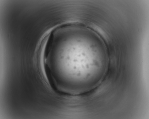 X0000092310975200709211246