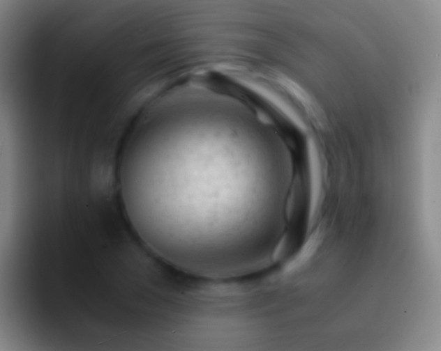 X0000092310977200709211246