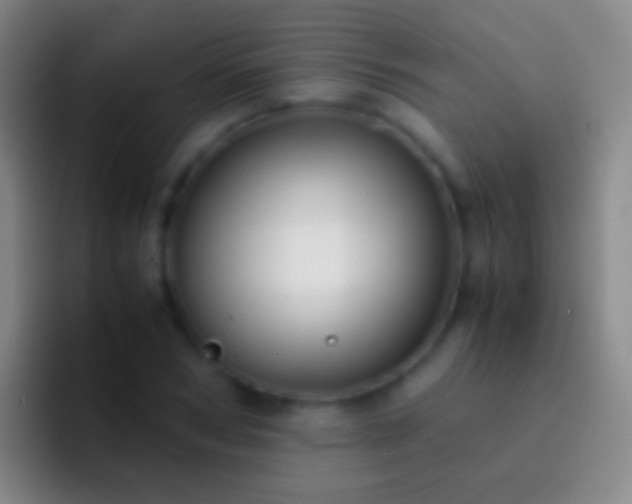 X0000092310978200709211246