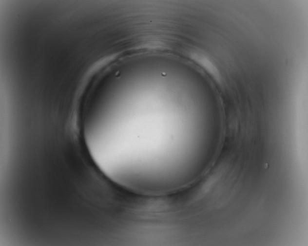 X0000092310979200709211246