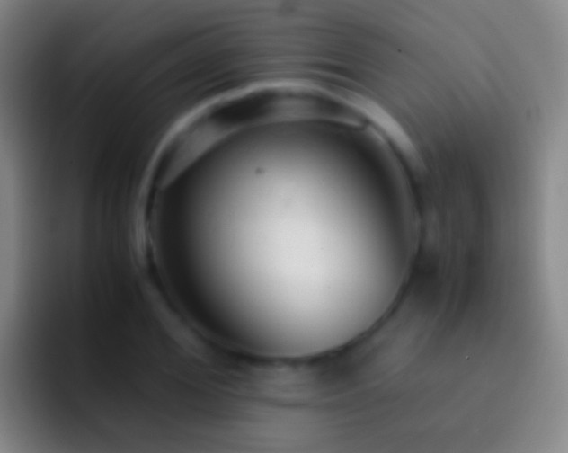 X0000092310980200709211246