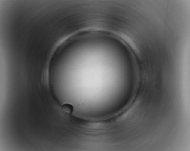 X0000092310982200709211246