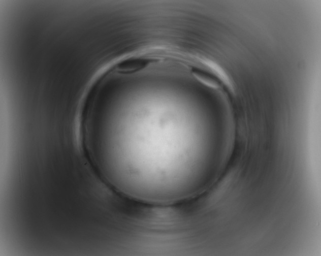 X0000092310983200709211246