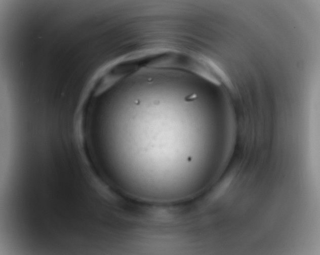 X0000092310987200709211246