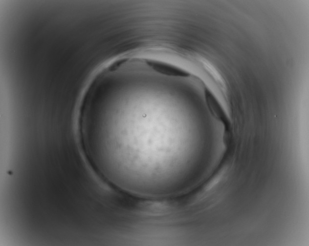 X0000092310995200709211246