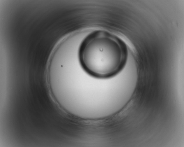 X0000092310996200709211246