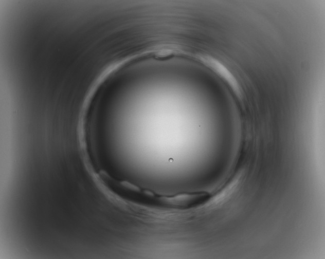 X0000092310997200709211246