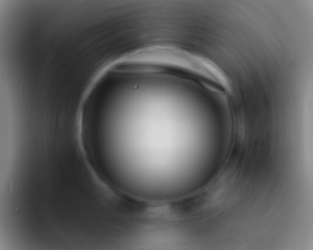 X0000092311006200709211246