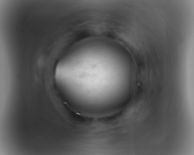 X0000092311009200709211245