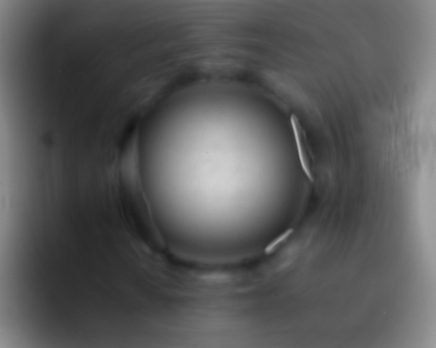 X0000092311010200709211245
