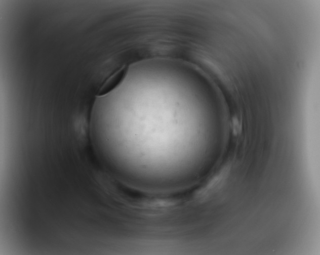 X0000092311011200709211245