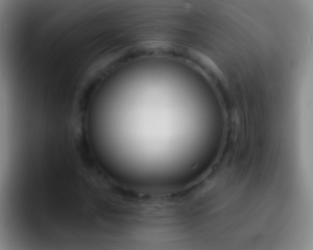 X0000092311016200709211245