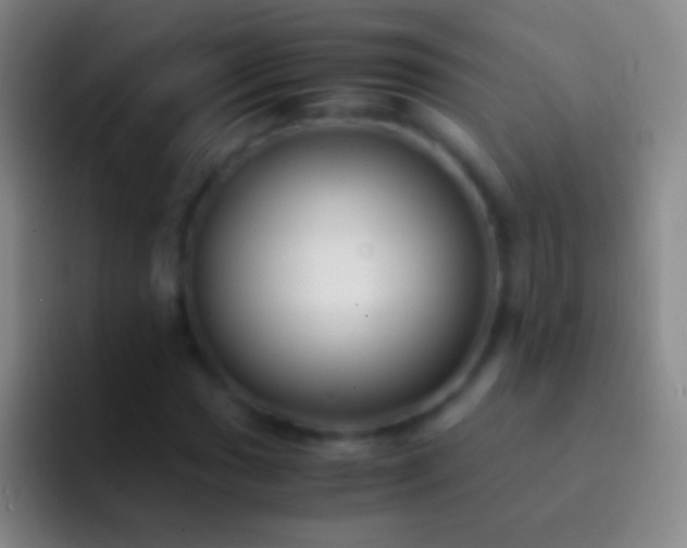 X0000092311017200709211245