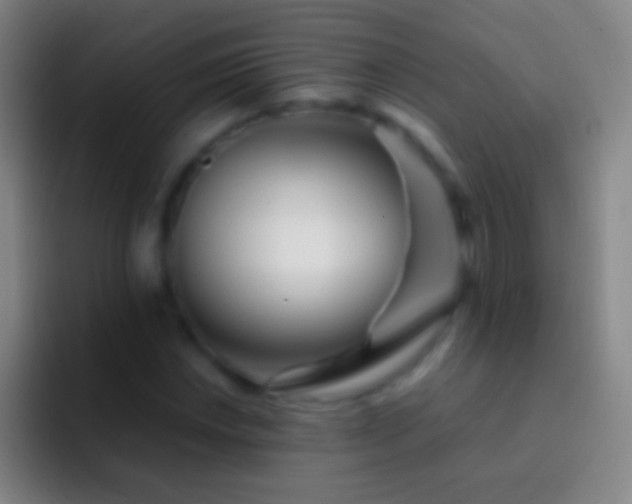 X0000092311018200709211245