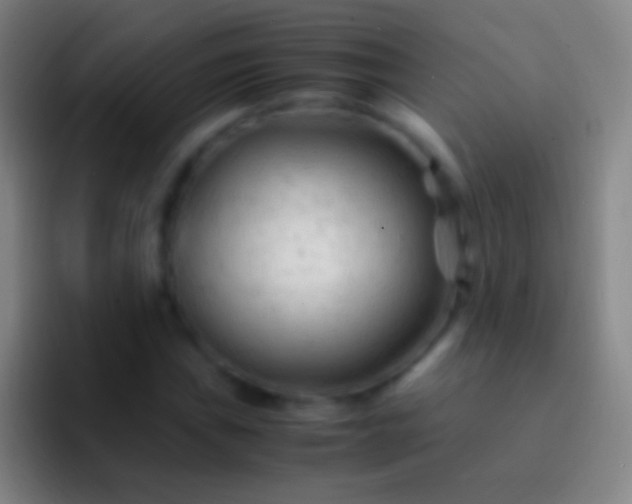 X0000092311019200709211245