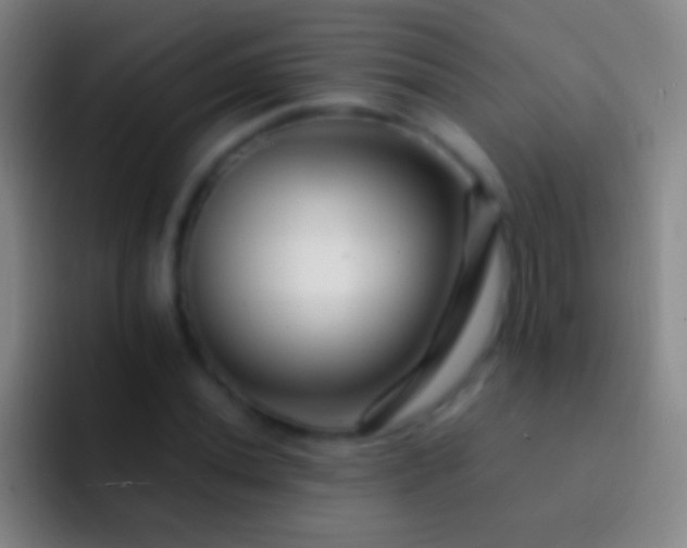 X0000092311020200709211245