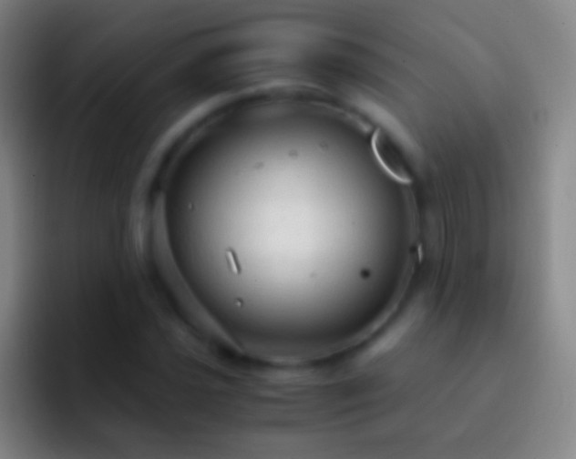 X0000092311021200709211245