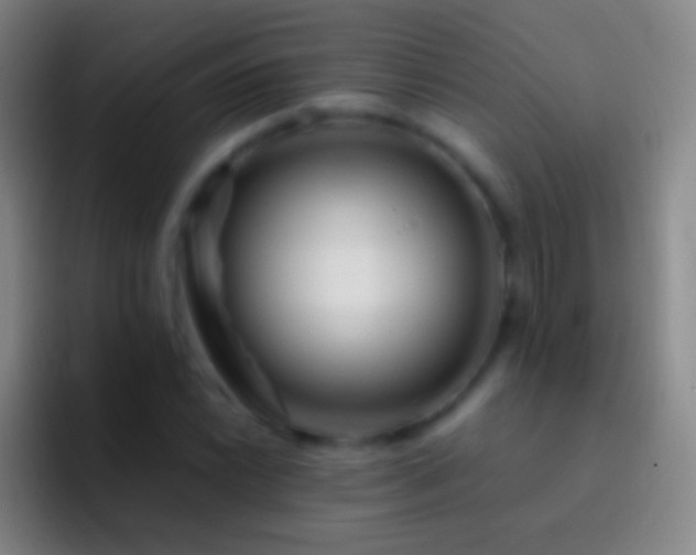 X0000092311022200709211245
