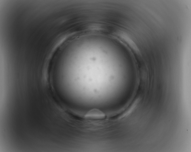 X0000092311023200709211245