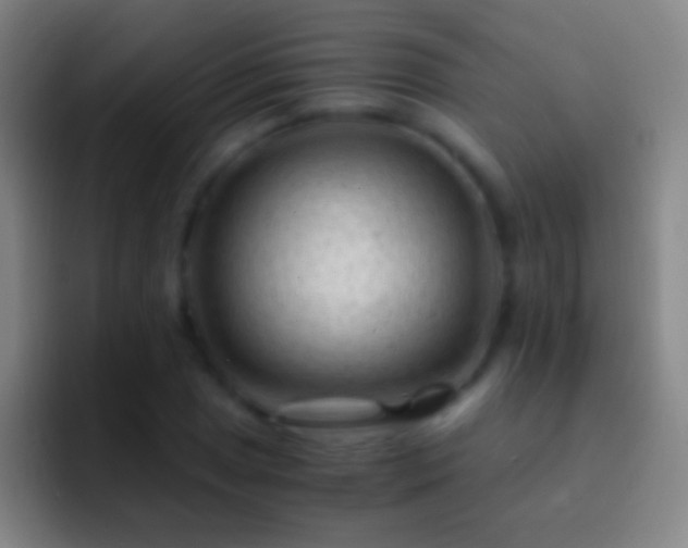 X0000092311025200709211245