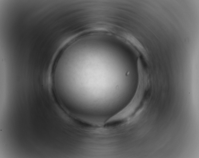 X0000092311028200709211245