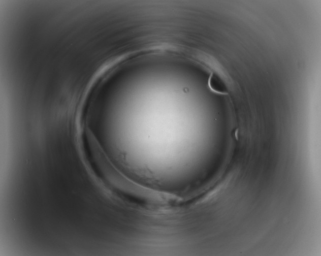 X0000092311032200709211245