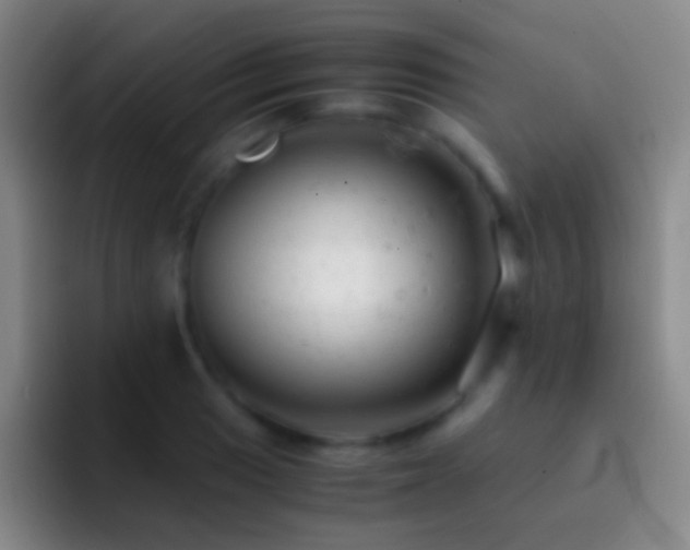 X0000092311033200709211245
