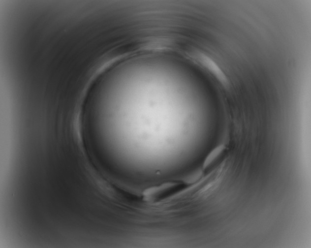 X0000092311035200709211245