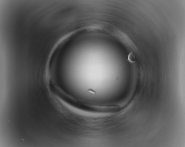 X0000092311036200709211245