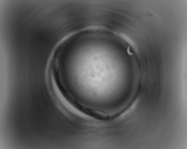 X0000092311037200709211245