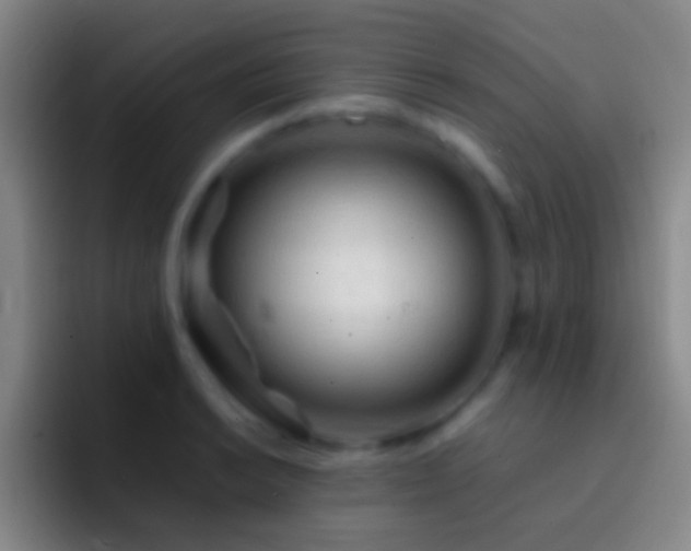 X0000092311038200709211245