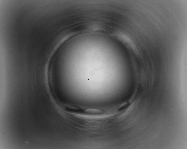 X0000092311039200709211245