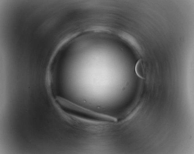 X0000092311040200709211245