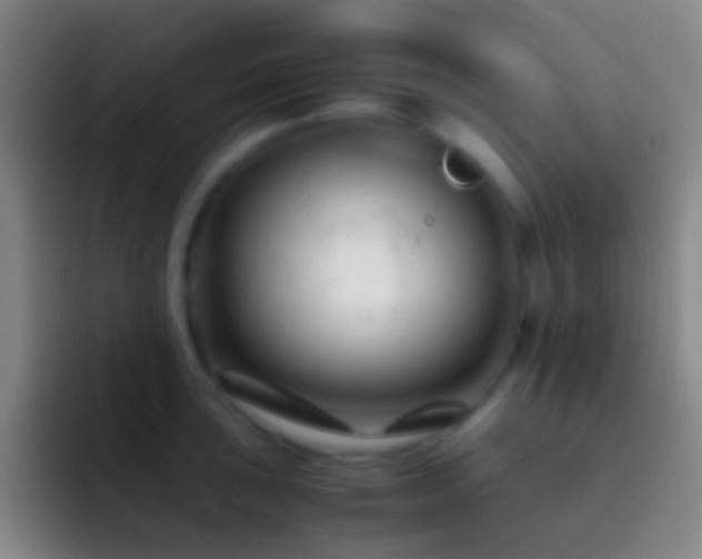 X0000092311043200709211246