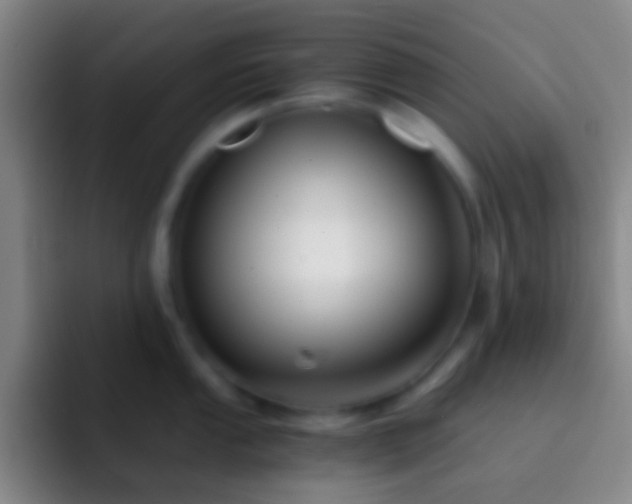 X0000092311053200709211246