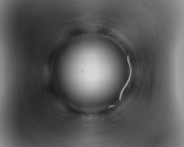 X0000092311058200709211245